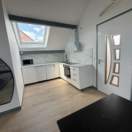 Apartment Paris Roissy Cdg Parc Expo Asterix Le Thillay